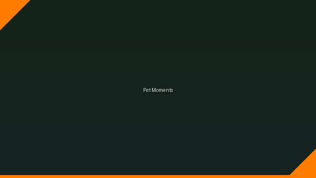 萌宠时刻主题赛 - manbetx万博体育网站 UGC视频竞赛